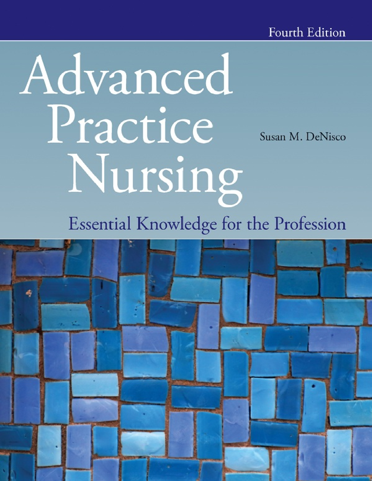 Preview image for Advanced Practice Nursing   Essential Knowledge for the Profession 4th Edition 2021 Susan M. DeNisco
